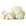 Coliflor