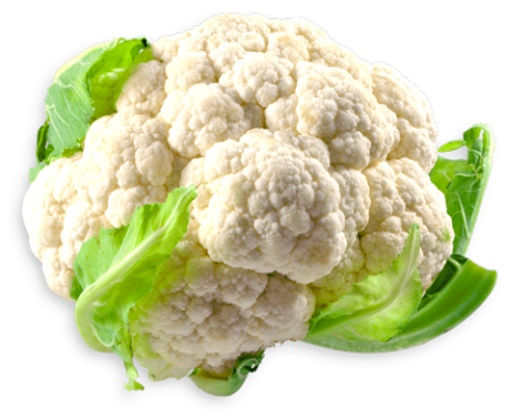 Coliflor Polderfresh de Lebrija
